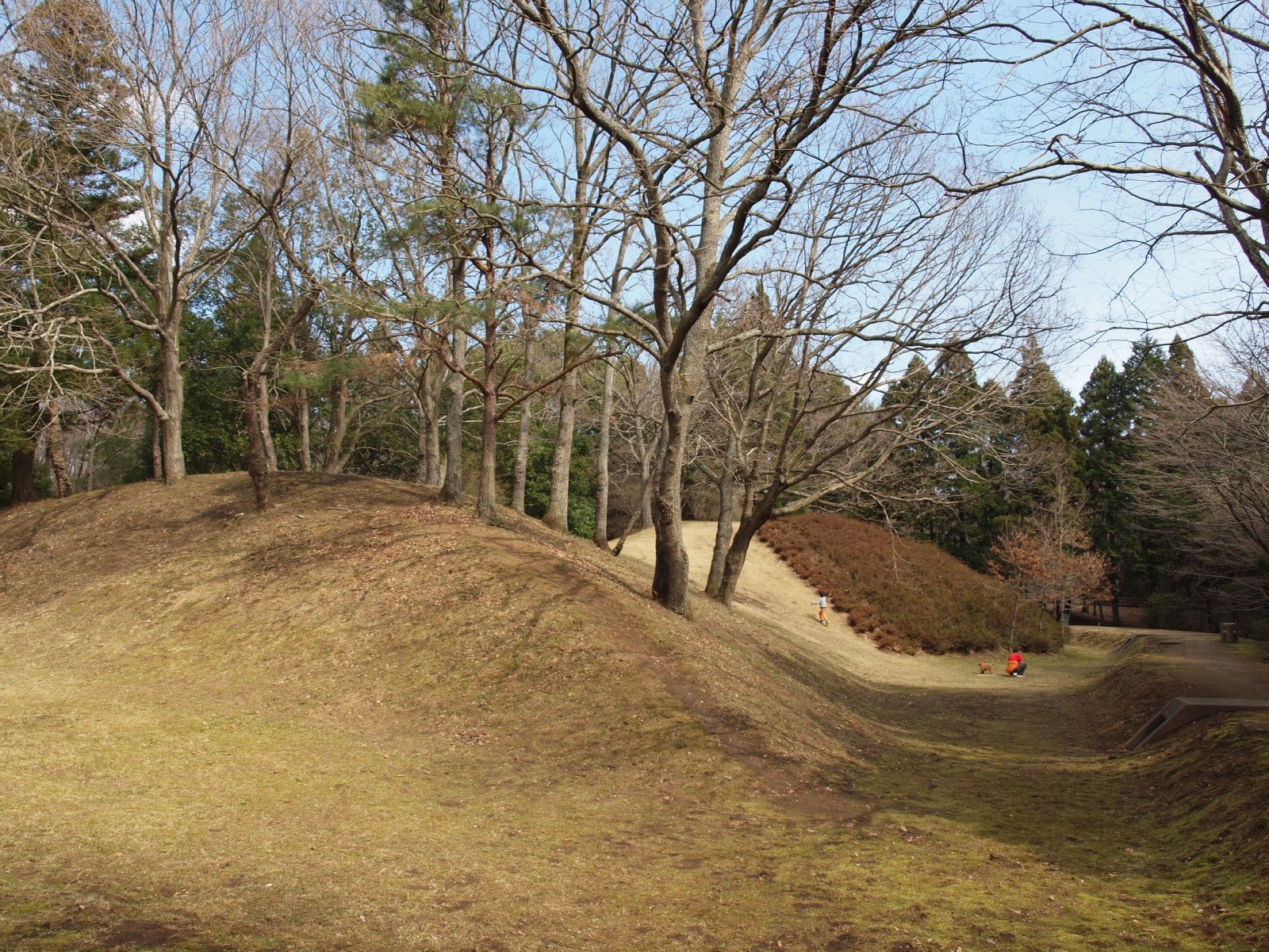 🏛️ 호랑이 무덤 고분(토라즈카 고훈) 이미지 4